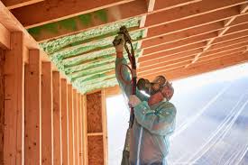 Best Commercial Insulation Services  in Red Lake, MN